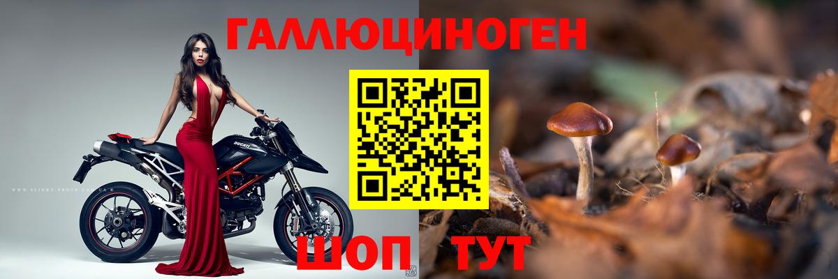 Чапаевск  Псилоцибиновые грибы прущие грибы  купить   Вход с VPN 
